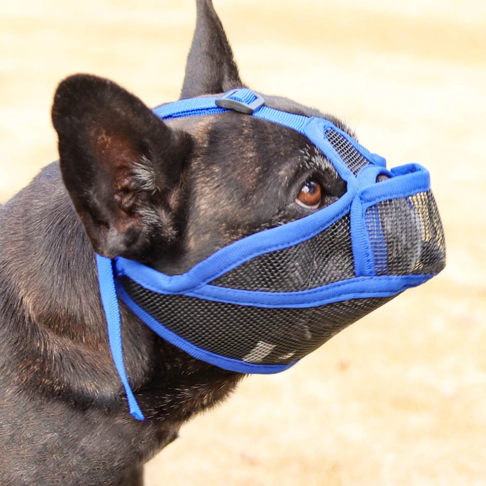Summer French Bulldog Short Nosed Adjust Pet Muzzle for Dogs Face Shield Pug mascotas Accessories Prevent Accidental Ingestion