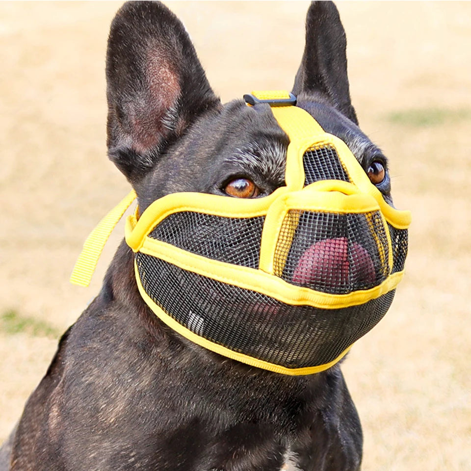 Summer French Bulldog Short Nosed Adjust Pet Muzzle for Dogs Face Shield Pug mascotas Accessories Prevent Accidental Ingestion