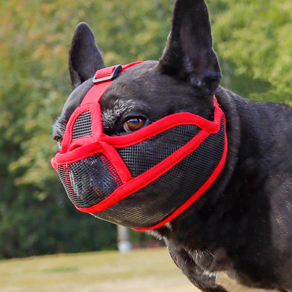 Summer French Bulldog Short Nosed Adjust Pet Muzzle for Dogs Face Shield Pug mascotas Accessories Prevent Accidental Ingestion