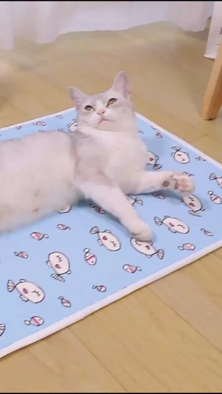 Pet Summer Cooling Ice Silk Latex Pad Dog Cat Sleeping Pad Nest Cool Feeling Dog Bedding Supplies Anti Slip Point Rubber Bottom